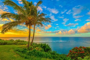 Overlooking the ocean, this serene retreat features a palm tree and lush greenery.