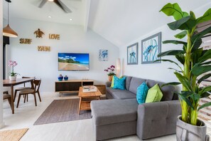 智能电视、DVD 播放器