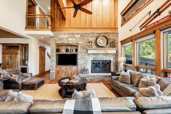 Télévision, cheminée, lecteur de DVD