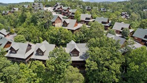 Un ensemble de chalets en bois, entourés d’une forêt dense, avec plusieurs bâtiments visibles au loin.