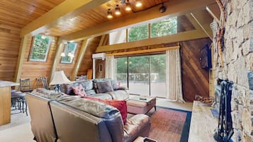 TV, fireplace, DVD player, books