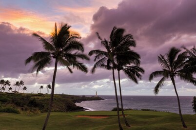 Tropical breezes, ocean view and sunny white sand beaches.