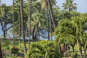 Escape to a serene tropical oasis surrounded by lush greenery and a tranquil body of water.