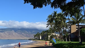 A beach with palm trees, a clear sky, and mountains in the background. - Ma'alaea Surf, Unit G5-1 Bd Beachfront Condo, AC, Wi-Fi, TV, Kitchen, Pool (Kihei)