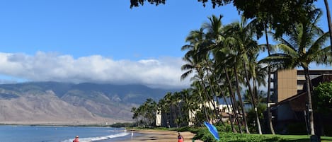 在海滩