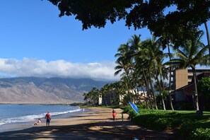 On the beach - Ma'alaea Surf, Unit G5-1 Bd Beachfront Condo, AC, Wi-Fi, TV, Kitchen, Pool (Kihei)