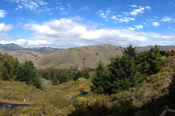 View of Mt. Tam and Heather Fields from the Deck.