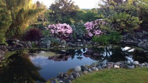 A serene garden with a pond, surrounded by rocks and various plants. - Garden Pond Retreat~Hot tub & Fire Pit! (Mckinleyville)