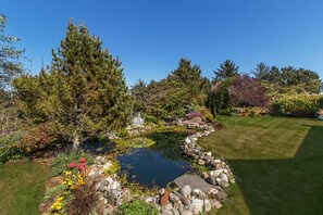 A garden with a pond, various plants, and a lawn. - Garden Pond Retreat~Hot tub & Fire Pit! (Mckinleyville)