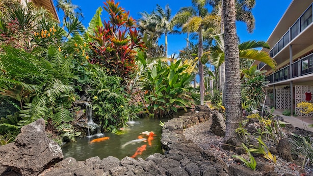 Un jardin tropical avec un petit étang, des palmiers et une cascade.