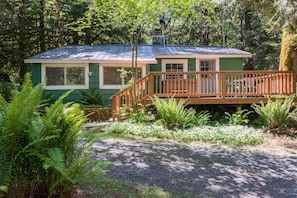 A small, green cabin with a wooden deck and a gravel path leading to it, surrounded by dense ferns and trees.