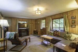 Televisión, chimenea, reproductor de DVD y libros