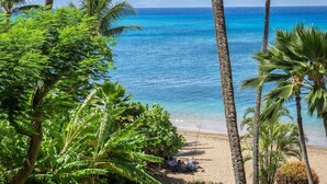 Una playa con palmeras y una vista despejada del océano.