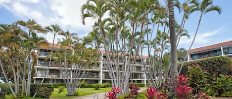 A hotel with multiple floors, outdoor palm trees, and well-maintained gardens.
