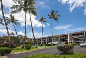 A hotel with multiple floors, palm trees, and a parking area.