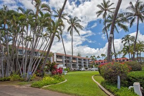 A hotel with multiple floors, surrounded by palm trees and a well-maintained lawn.