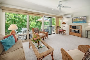 Flatskjerm-TV, DVD-spiller og stereoanlegg