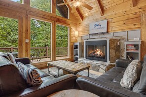 TV, fireplace, DVD player, books - Pet-Friendly A-Frame w/ Hot Tub, Fenced Yard + Biltmore Pass – Near Asheville (Fletcher)