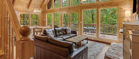 TV, fireplace, DVD player, books