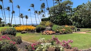 A landscaped garden with palm trees, flowering plants, and a pathway. - Waiohuli Beach Hale #D-120 Steps to Beach Oceanfront Complex with Great Rates (Kihei)