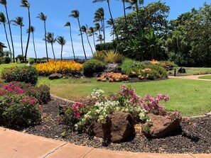 Property grounds - Waiohuli Beach Hale #D-120 Steps to Beach Oceanfront Complex with Great Rates (Kihei)