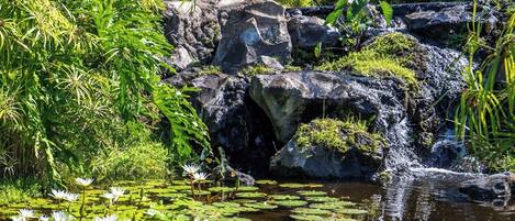 المنطقة المحيطة بالمنشأة