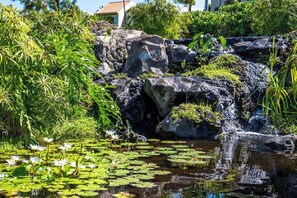 Property grounds - Palms at Wailea #1101 Great Ocean Views Large Sun Deck Near Beaches, Full A/C (Wailea)