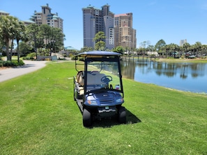Property grounds - 6-Seat Golf Cart! Steps to Pool! 5259TS (Miramar Beach)