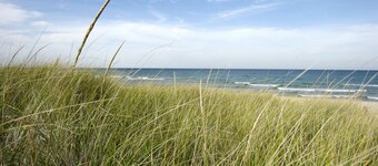 Cozy Couples Retreat in Beachwalk Resort w/ Hot Tub