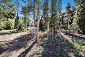 A forested area with a dirt path leading to a building with multiple floors, surrounded by tall trees. - Atrium 108: Historic District Ski Condo, Fireplace, Hot Tub Access. (Breckenridge)