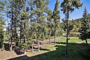 A forested area with tall trees and a clear sky. - Atrium 108: Historic District Ski Condo, Fireplace, Hot Tub Access. (Breckenridge)