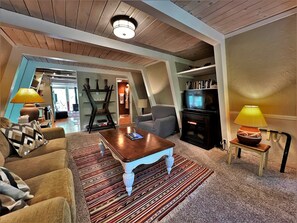 Télévision, cheminée, jeux vidéo, lecteur de DVD