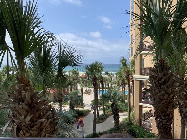A resort with palm trees, a pool, and a view of the beach.