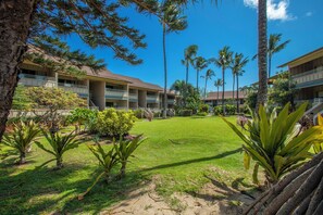A hotel courtyard with a lawn, palm trees, and a building with balconies.