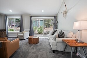 TV, fireplace, DVD player, books