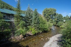 Miscellaneous - Riverside Hotel Room at Telluride's Most Affordable Location (Telluride)