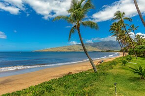 On the beach, sun-loungers, beach towels - Discover Beachfront Paradise: Sugar Beach #121 - Luxury and Serenity Await You!
 (Kihei, Maui)