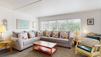 TV, DVD player, books, video library