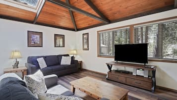 Télévision, cheminée, lecteur de DVD, livres