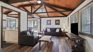 TV, fireplace, DVD player, books