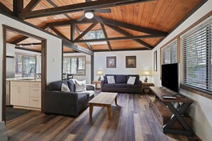 TV, caminetto, lettore DVD, libri