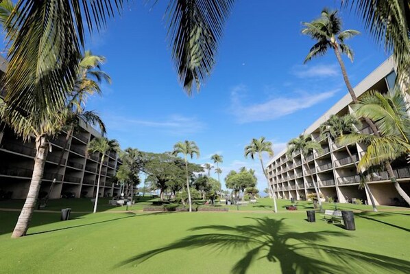 A hotel courtyard with palm trees, a green lawn, and a modern building with multiple balconies.