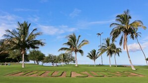 Een golfbaan met heldere lucht en palmbomen.