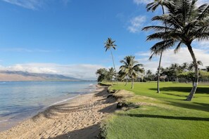 A beach with a clear sky, palm trees, and a view of the ocean.