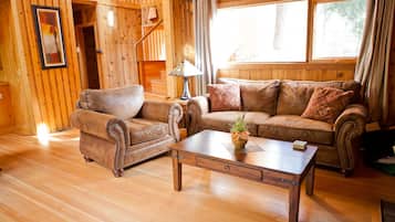 Smart TV, chimenea, reproductor de DVD