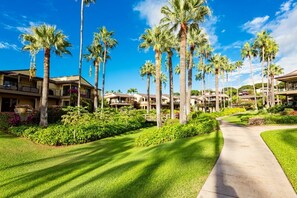 Property grounds - Wailea Elua 2003 - Ground Level Gem -Oceanfront Property W/ Tropical Grounds (Wailea, Maui)