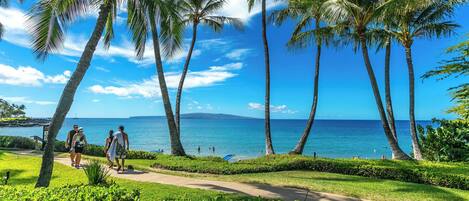 ビーチ、サンラウンジャー、ビーチタオル