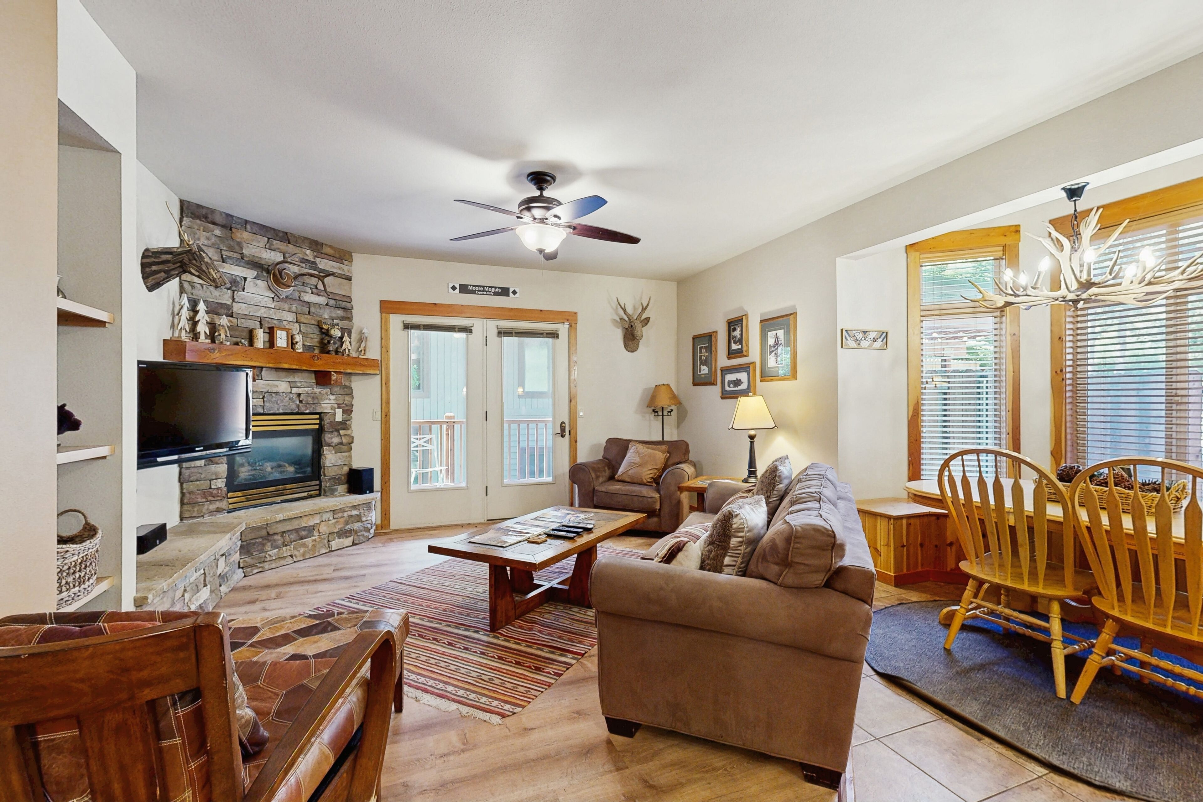 TV, fireplace, video games, DVD player