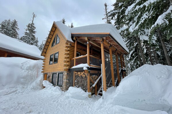 Exterior - Cozy Alpine style chalet ,Hot Tub in the trees , Pet Freindly ,Fast Internet (Government Camp)