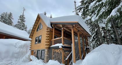 Cozy Alpine style chalet ,Hot Tub in the trees ,Pet Freindly ,Fast Internet !